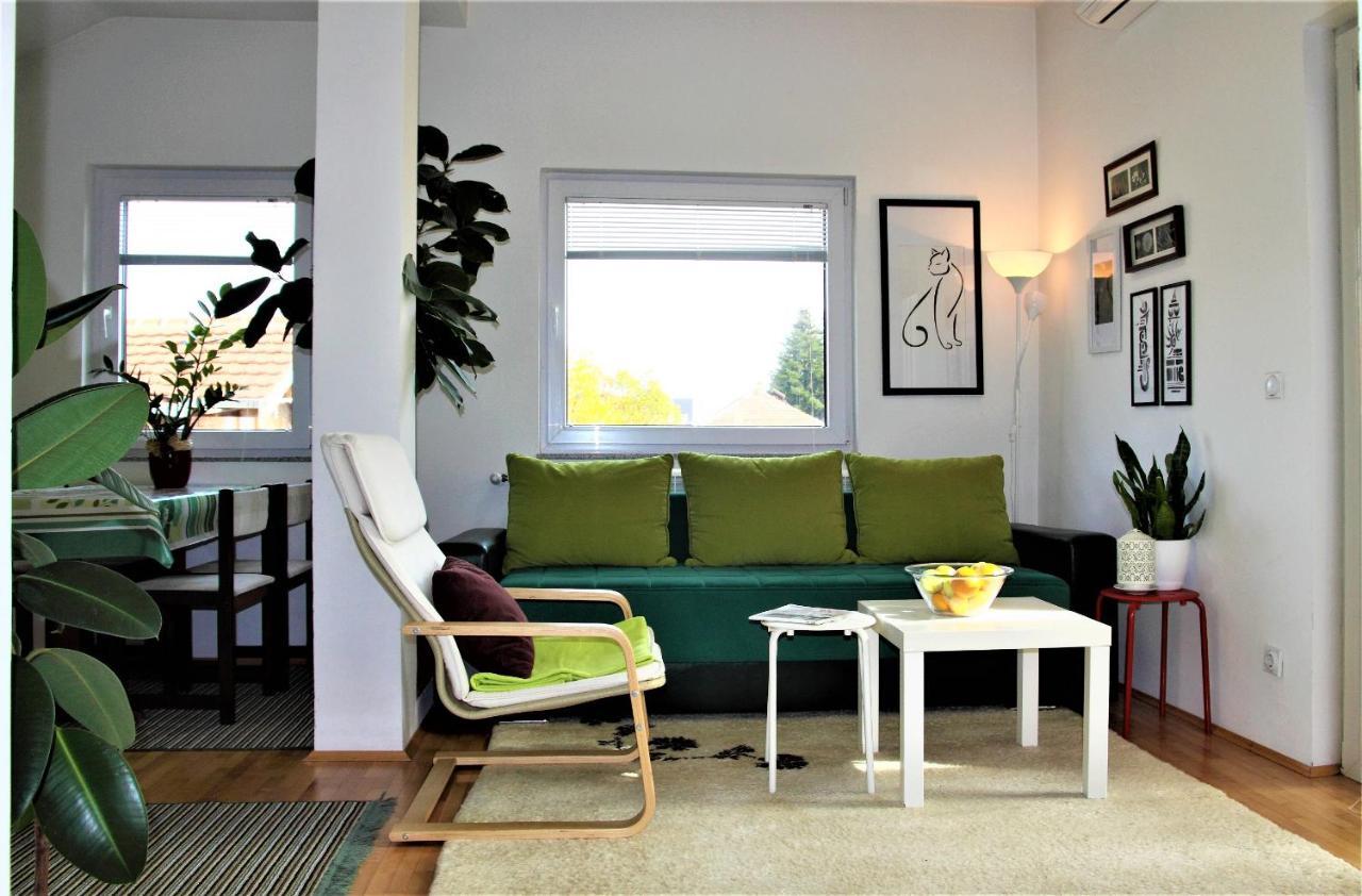 Central Modern Apt Struga Exterior foto